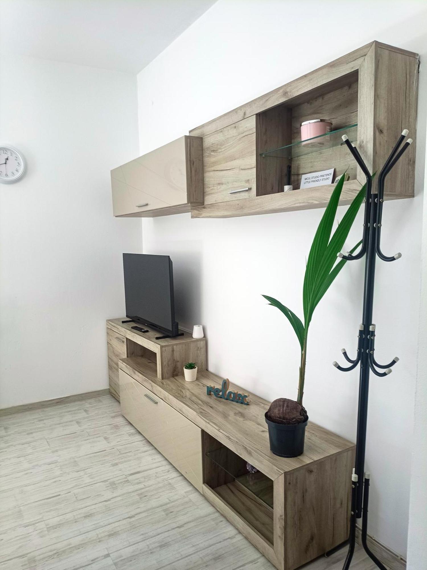 Friendly Little Studio Brasov Exterior photo